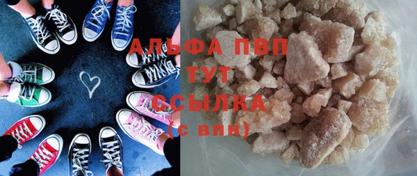 спиды Новозыбков