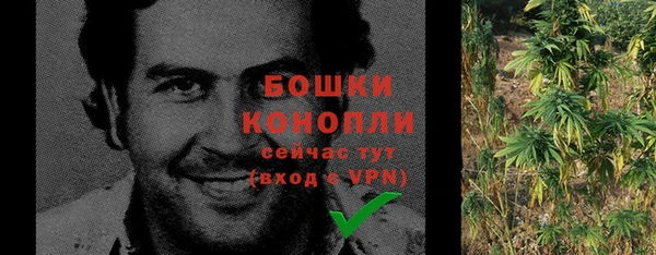 спиды Новозыбков