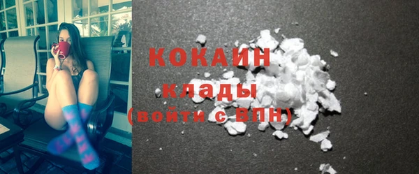 спиды Новозыбков